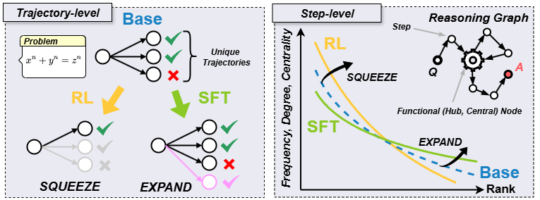 RL Squeezes SFT Expands Image